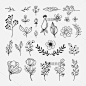 25组植物花卉树叶小鸟猫头鹰动物类线稿图EPS矢量设计素材AI74-淘宝网
