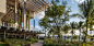 004-Perez Art Museum Miami: Resiliency by Design by  ArquitectonicaGEO
