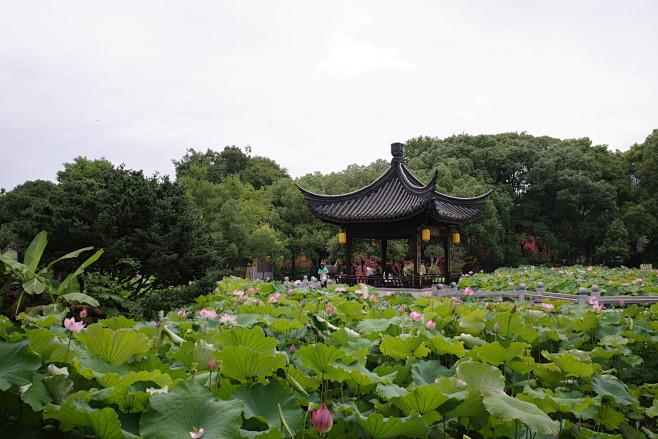 R0002236
