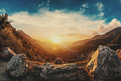 叹梦`采集到森林背景