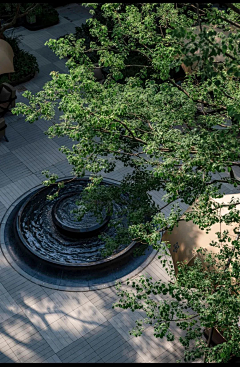 集相采集到水景