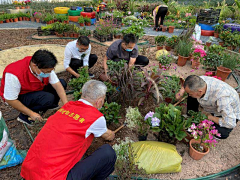 蟹猪老板采集到社区共享花园