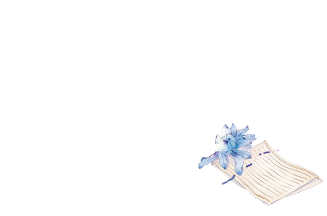┌[ Counter Light ]‖「...
