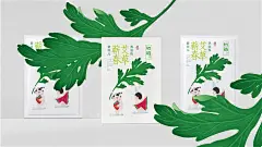 初链-艾草婴幼儿洗浴包包装设计1.png