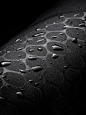 (7) Pinterest