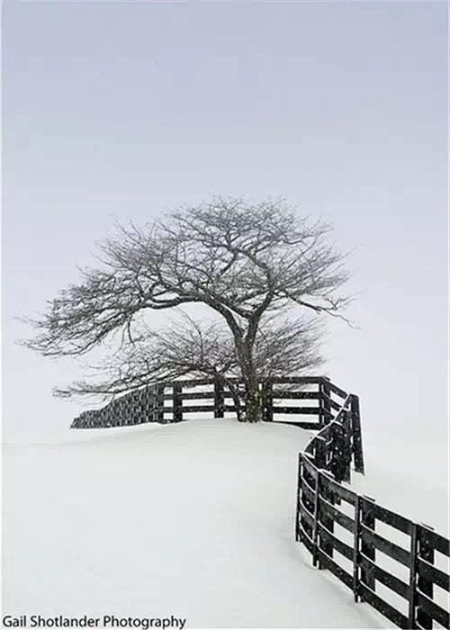 雪景