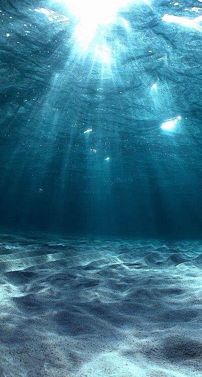 水底 海底