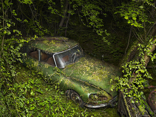 由大师级摄影师Peter Lippman...