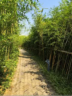 [原创] 巴溪洲水上乐园 湘江的生态湿地(20P) - 路人@行者 - 路人@行者