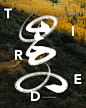 + Some Fonts Design +