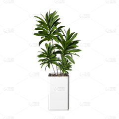 K-TWELVE采集到植物