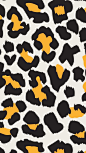 This contains an image of: 