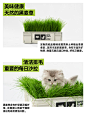 006kKzI8gy1h6xvxqmotkj30u0140n51.jpg (1080×1440)