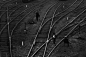 轨迹·背影<br />
站在天桥上俯看浦口老镇，渐渐的，夕阳在天际缓缓滑落，冰冷的铁轨也熠熠夺目，我凝思眼前渐行渐远的背影，仿佛在诉说着一个遗散在风尘中的南京故事。摄于2010年11月5日，南京浦口