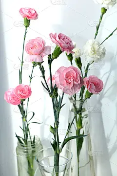 摘要春季或夏季插花，节日概念与鲜花、静物、横幅。母亲节贺卡，妇女节，情人节，生日快乐，婚礼，