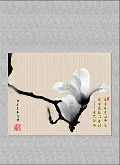 【我的家乡有多美】——早开的白玉兰-中关村在线摄影论坛
