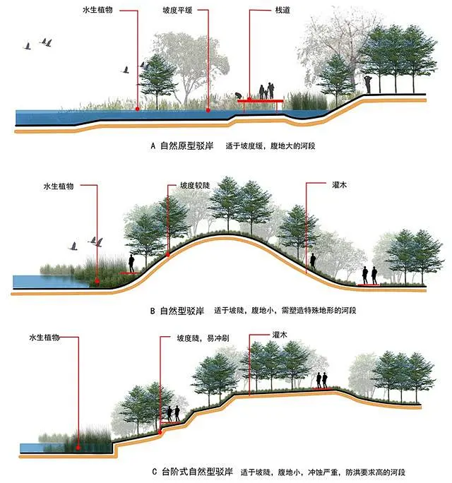 驳岸剖面-花瓣网