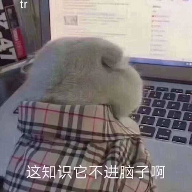 表情包