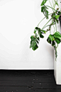 AESTHETICS by Simon Freund - 010