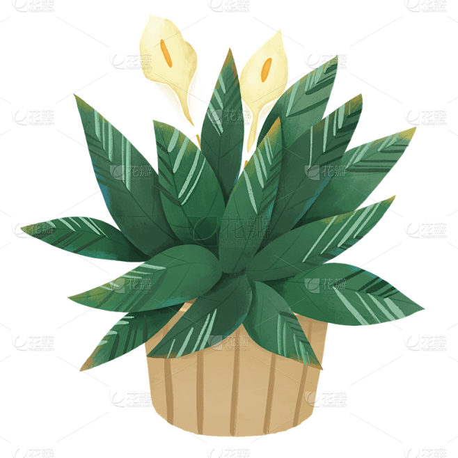 植物插画元素主题素材