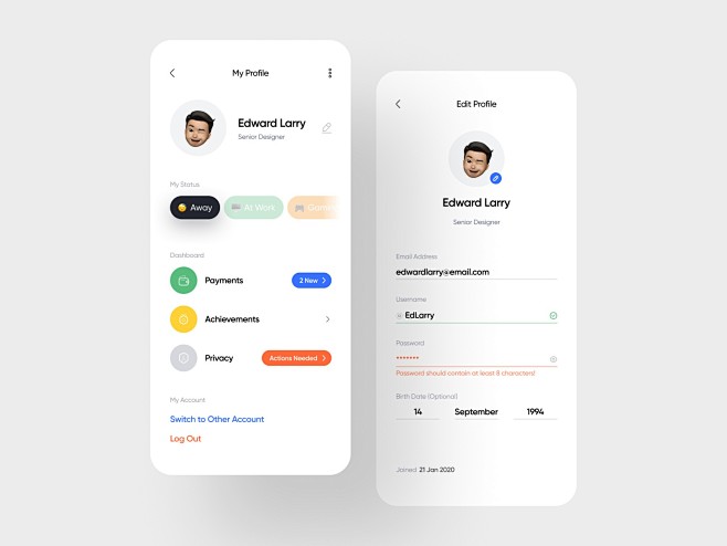 User Profile Concept