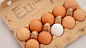 eggs-3446869__340