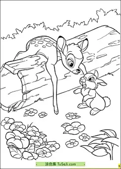 小鹿的成长历程！11张童话故事《小鹿斑比》涂色大全！ | 涂色集，涂色画打印大图 : 小鹿斑比的童话故事是一个关于成长、友谊、家庭和勇气等主题的经典故事。它讲述了一只小鹿的成长历程，通过他在森林中的冒险和挑战，以及与其他动物朋友的互动，展示了这些主题的重要性。故事中，小鹿斑比是一个聪明、活泼的小鹿，他与其他的动物朋友一起生活 小鹿的成长历程！11张童话故事《小鹿斑比》涂色大全！