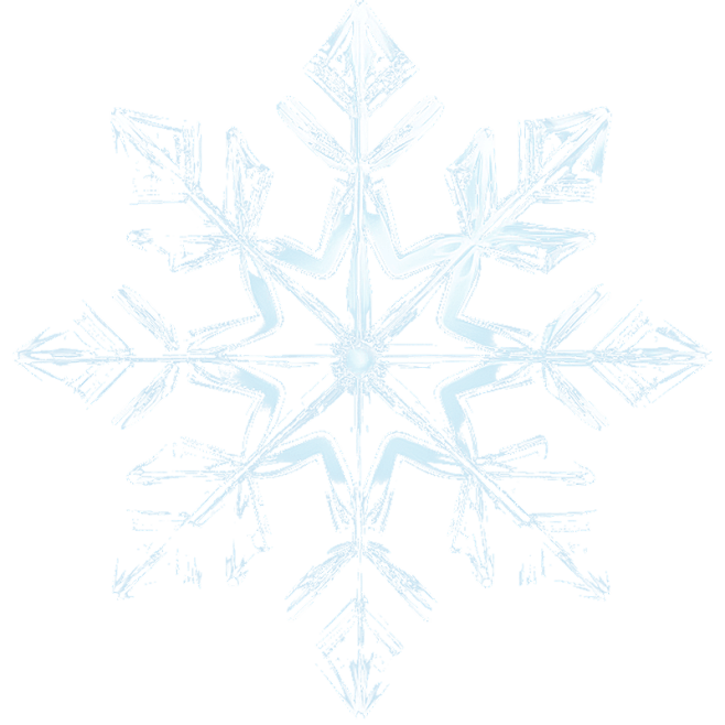 3D立体透明雪花贴纸8