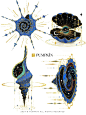 我把宇宙画进了海螺里！！_1_方楠Pumpkin_来自小红书网页版