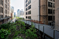 纽约高线公园（The High Line） | 灵感日报