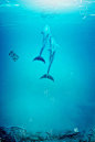 世界海洋日公益背景素材