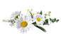 image1 (73)