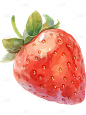 夏季果蔬水彩草莓元素通用元素贴纸