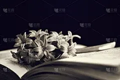 慰问卡上有花和打开的书