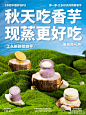 @墨茉点心局 的个人主页 - 微博