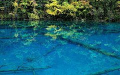 金秋唯美风景桌面壁纸