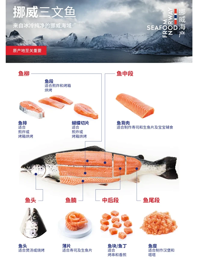 一图看懂三文鱼各部位吃法详解 - 小红书-花瓣网