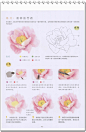 [萌绘 缤纷水彩]透明水彩基础入门 水彩入门教程-淘宝网