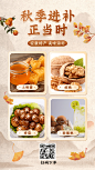 中国风秋季营销产品展示养生食疗