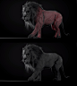 狮子  3D艺术家 Nicolas MOREL