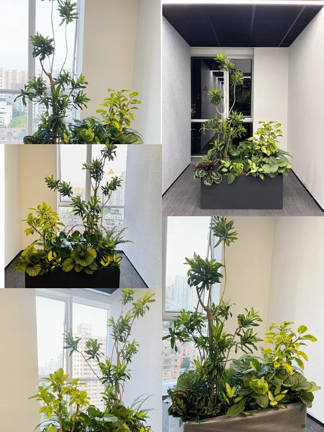 室内花箱绿植隔断|花箱植物造景-花瓣网