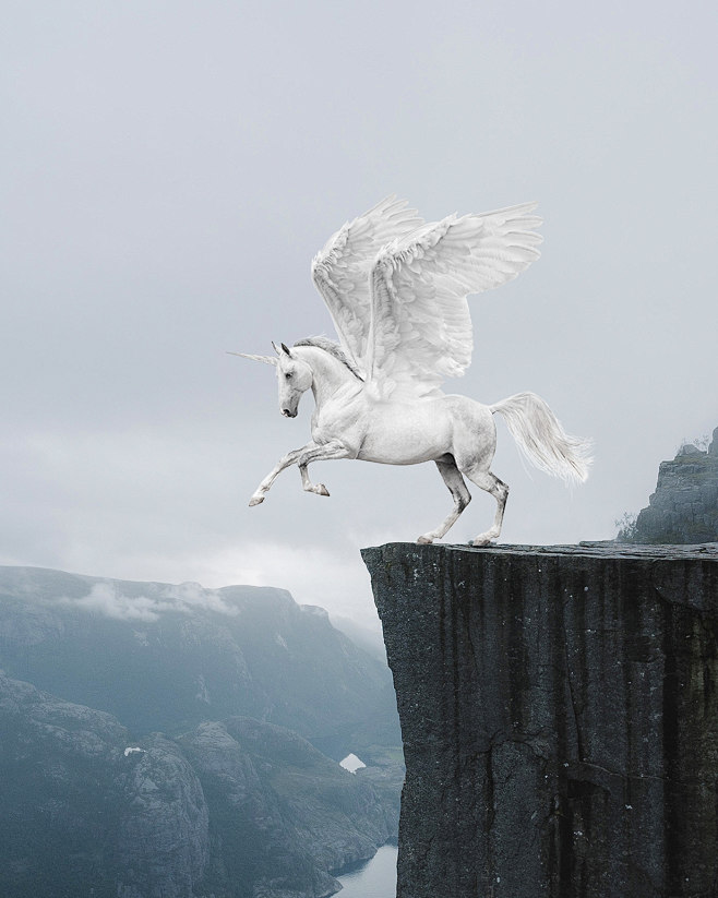 Pegasus Unicorn! ( j...
