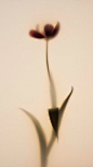 (9) Pinterest