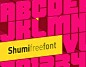 Shumi Free font : "Shumi" Free font