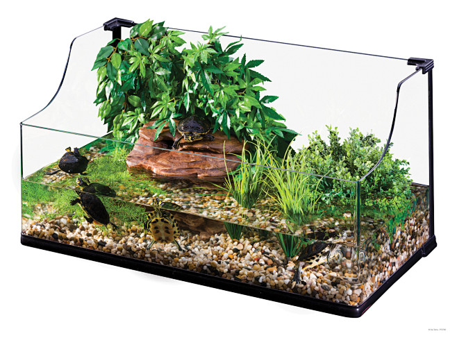 Exo Terra Turtle Ter...