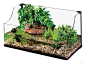 Exo Terra Turtle Terrarium Large Aquatic Habitat