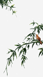 手绘竹子竹叶高清素材 冬天 小鸟 竹叶 竹子 雪 免抠png 设计图片 免费下载