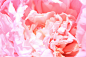 robert-hoffmann-0nulATHut58-unsplash