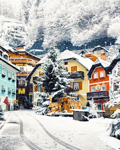 美丽人生2019采集到美景(冰雪)
