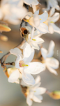 3dbfdc4egy1hbw4j34ahjj23am5uw000.jpg (4270×7592)
